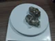 PM apreende 1 kg de haxixe e prende 2 mulheres que operavam ‘boca de fumo’ em Vilhena