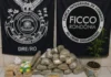 Homem que fazia guarda em depósito com 27 kg de drogas é preso e entregue à Polícia Federal