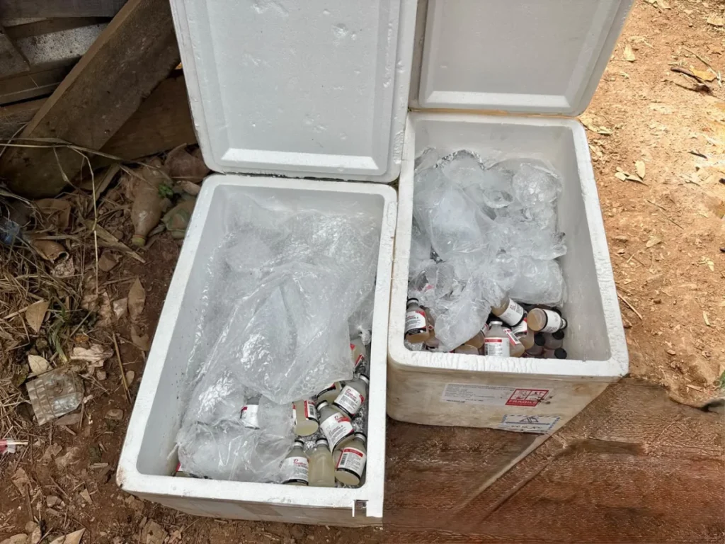 BPFron apreende 400 frascos de vacina veterinária em porto clandestino de Guajará