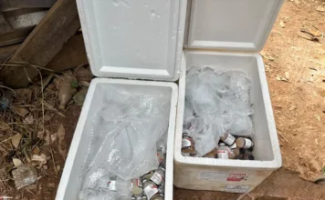 BPFron apreende 400 frascos de vacina veterinária em porto clandestino de Guajará