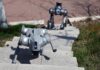 Como pesquisas militares dos EUA viraram base para os cães-robôs da China