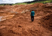 MPF vai à Justiça cobrar quase $2 milhões de empresa por mineração ilegal, do outro lado do Madeira
