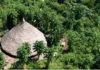Acusado de ‘cegueira deliberada’, Banco do Brasil é acionado na Justiça por financiar projeto em terra indígena