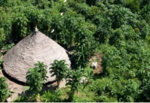 Acusado de ‘cegueira deliberada’, Banco do Brasil é acionado na Justiça por financiar projeto em terra indígena