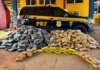 Fundo secreto em caminhão baú camuflava ‘super combo’ de 1 tonelada de maconha, coca, haxixe e skunk
