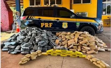 Fundo secreto em caminhão baú camuflava ‘super combo’ de 1 tonelada de maconha, coca, haxixe e skunk