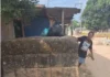 A caixa d’água da Rua Sete – Alice Thomaz*