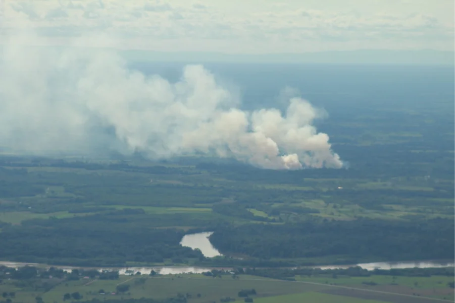 Incêndios florestais aumentam depois do El Niño, aponta pesquisa da Amazon Conservation