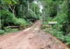 Do garimpo à bioeconomia, Fiero completa 40 anos como motor de transformação e do avanço em Rondônia