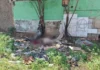 Polícia caça suspeito da morte de mulher encontrada nua e com sinais de violência em terreno baldio na ‘Sete