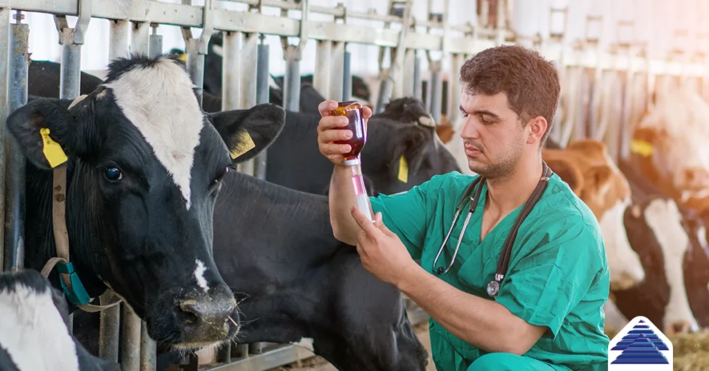 Veterinários são protagonistas no sucesso do agro em Rondônia, destaca Carlos Magno