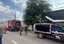 Como um passarinho, homem é encontrado morto em cima de pé de tamarindo no bairro Olaria, na capital