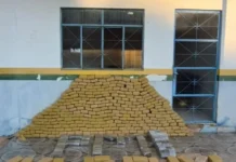 Dois são presos e um foge, durante apreensão de 360 kg de maconha, em ação da PRF e PM, em Seringueiras