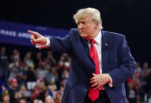 Trump retira tarifa de 50% sobre alguns produtos do Canadá, incluindo madeira e alimentos