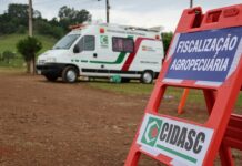 SC confirma 3° foco da doença de Newcastle em aves