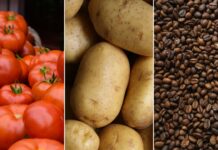 Preço dos alimentos: o que ficou mais caro e o que barateou na prévia da inflação de outubro