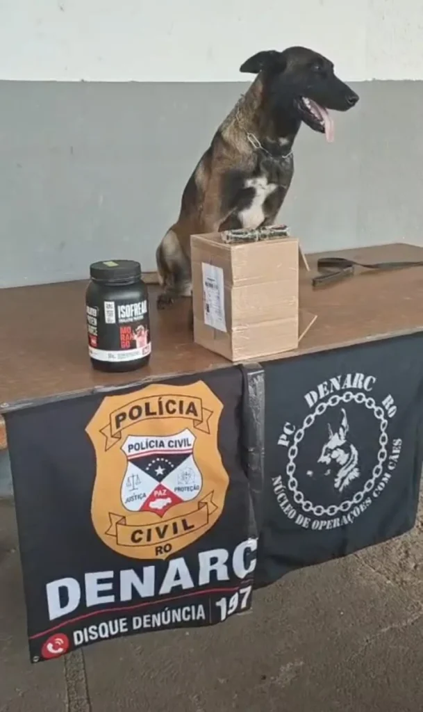 PF, Denarc e BPfron montam operação, leva cão farejador e acham só 197g de haxixe, mas descobrem conexão
