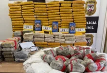 244 kg de cocaína, maconha, crack e haxixe são apreendidos pela Polícia Civil, em Nova Mamoré