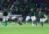 ‘Cola’ ajuda e Carlos Miguel acaba com a ‘maldição’ nos pênaltis e garante Palmeiras na final da Libertadores
