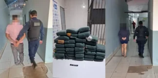 Motorista de ônibus traz de Manaus mala recheada de maconha, mas é ‘dedurado’ e preso em PVH