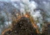 Queimadas na Amazônia acendem alerta para a saúde respiratória da população