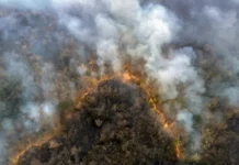 Queimadas na Amazônia acendem alerta para a saúde respiratória da população