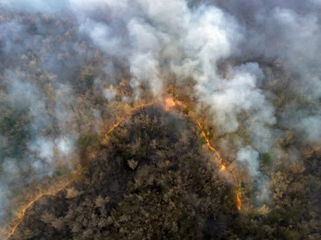 Queimadas na Amazônia acendem alerta para a saúde respiratória da população